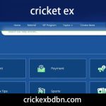 cricket ex